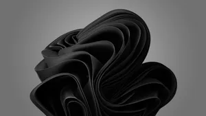 Eye-catching 2560x1440 Black Wallpaper Wallpaper