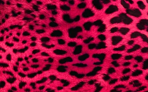 Eye-catching Animal Print Wallpaper