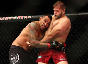 Fabricio Werdum And Marcin Tybura Wallpaper