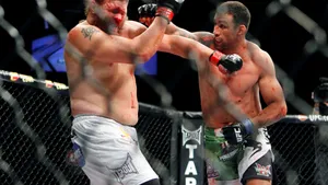 Fabricio Werdum Punching Roy Nelson Wallpaper