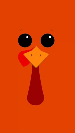 Face Turkey Happy Thanksgiving Wallpaper
