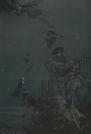 Fairy Grunge Fairies And Dragonflies Wallpaper