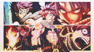 Fairy Tail Characters Natsu Photo Collage Wallpaper