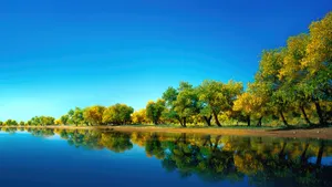 Fall Forest Lake Wallpaper