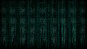 Fall Into A World Of Possibilities Wallpaper