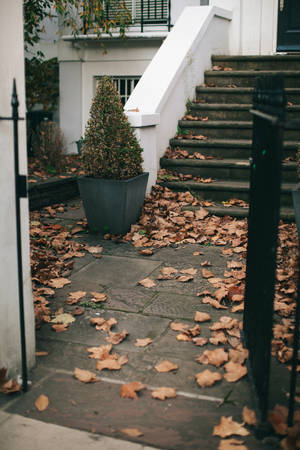 Fall Leaves On The Gray Stairs Wallpaper