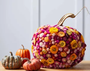 Fall Thanksgiving Flower Pumpkin Wallpaper