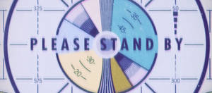 Fallout Please Stand By Wallpaper