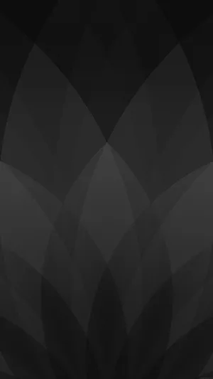 Fanned Leaf Solid Black Iphone Wallpaper