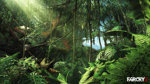 Far Cry 3 Jungle Of Rook Islands Wallpaper