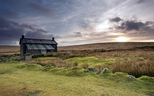 Farmhouse In An Unkept Field Wallpaper