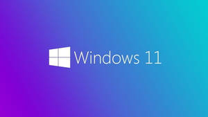 Fascinating Windows 11 Logo Wallpaper