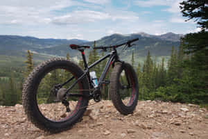 Fat Specialized Mountain Bike Wallpaper