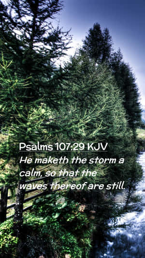 Feel At Ease While Using The Intuitive And Simplistic Design Of Calm Mobile. Wallpaper