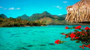 Feel The Calm And Serenity Of A Tropical Island Wallpaper