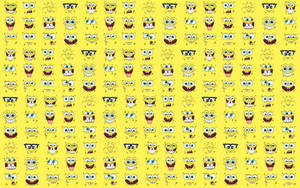 Feeling Cool With Spongebob Wallpaper