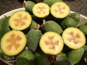 Feijoa In A White Bowl Wallpaper