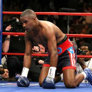 Felix Trinidad Is On His Knees Wallpaper