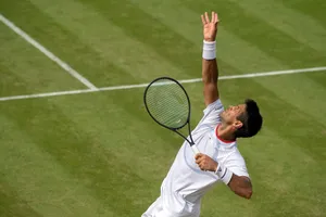 Fernando Verdasco At Wimbledon Wallpaper