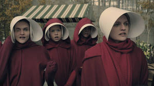 Fertility Of The Handmaid's Tale Wallpaper