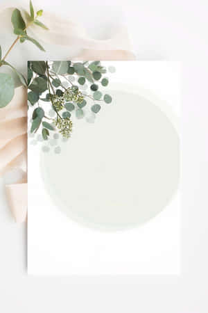 Ficus And Fig Wedding Background Design Wallpaper