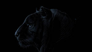 Fierce Black Lion Profile Wallpaper