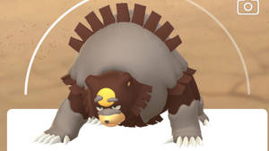 Fierce Ursaluna Pokémon Wallpaper