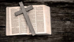 Find God In Nature Wallpaper