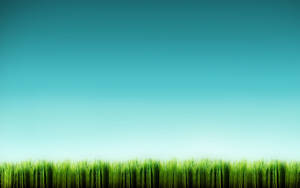 Find Solace In The Tranquil Beauty Of A Grassy Meadow. Wallpaper