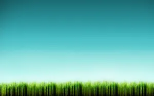 Find Solace In The Tranquil Beauty Of A Grassy Meadow. Wallpaper