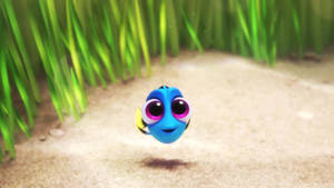 Finding Dory Adorable Little Dory Wallpaper