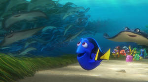 Finding Dory Sees Stingrays Wallpaper