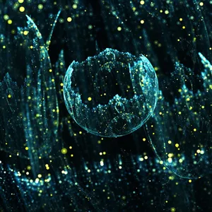 Firefly Hd Broken Circle Wallpaper