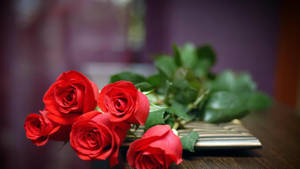 Five Stems Red Rose Hd Wallpaper