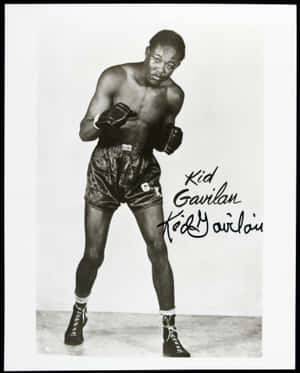 Fixed Signed Kid Gavilan Profile Wallpaper