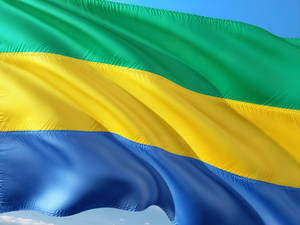 Flag Of Gabon Wallpaper