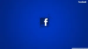 Floral Facebook Blue Minimalist Wallpaper