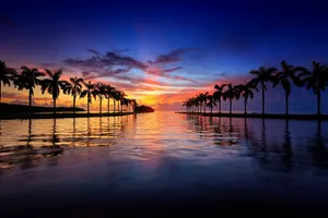 Florida Beach Sunset And Coconut Trees Wallpaper