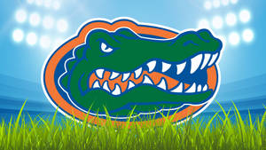 Florida Gators Alligator Head Football Logo Wallpaper