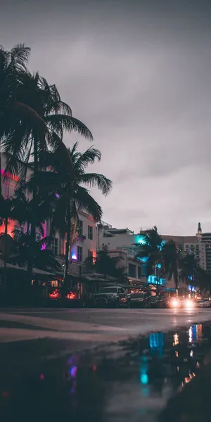 Florida Night Street Wallpaper