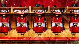 Florida Panthers Hockey Jerseys Wallpaper