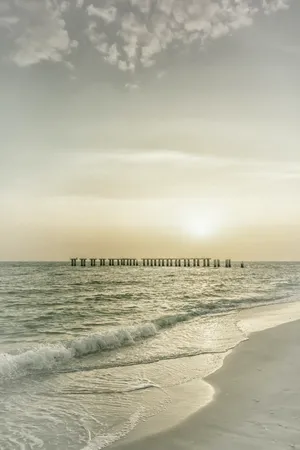 Florida Sunset On Film Wallpaper