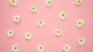 Flourishing Minimalism: Modern Computer Laptop Surrounded By An Abundance Of Colorful Flowers Wallpaper