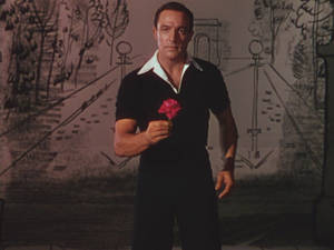Flower Gene Kelly Wallpaper
