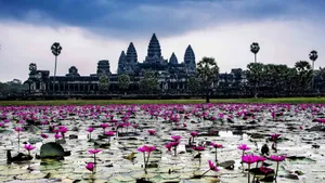 Flowers Growing In The Water Outside Angkor Wat Wallpaper