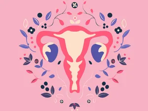 Flowery Uterus Menopause Image Wallpaper
