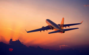 Flying Aeroplane Sunset Wallpaper