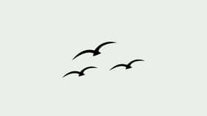 Flying Birds Sage Green Laptop Wallpaper