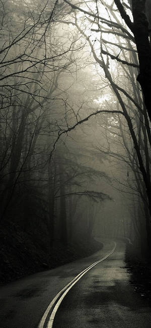 Foggy Forest Road Iphone Dark Wallpaper