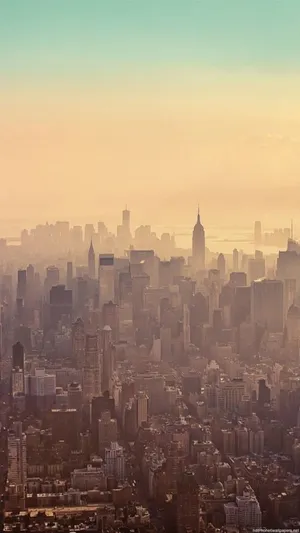 Foggy Morning In New York Iphone Wallpaper